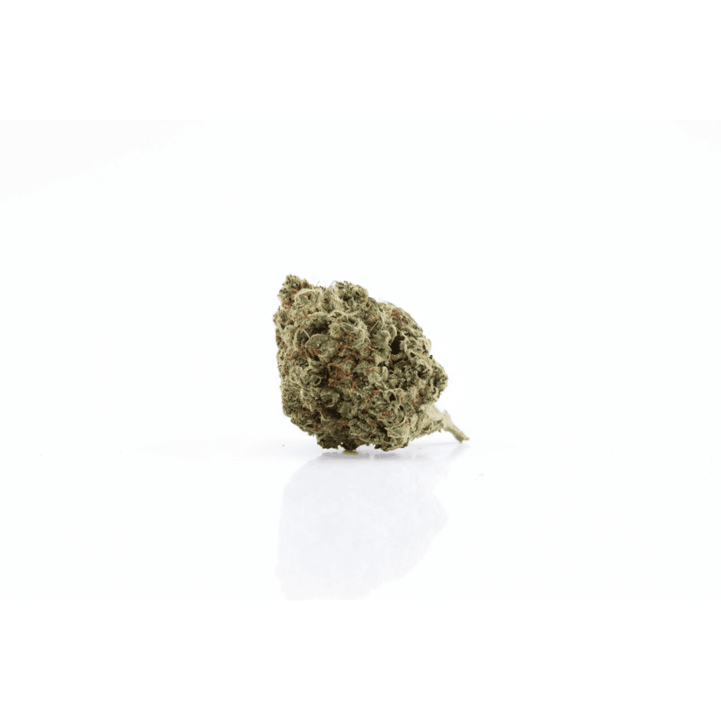 Amnesia, fleur CBD — photo 5