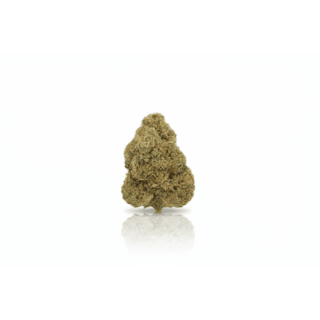 Alpine Rocket, fleur CBD — photo 2
